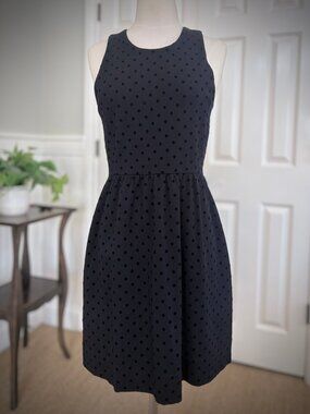 J Crew Sleeveless Black Dotted Swiss Dress, Size Small